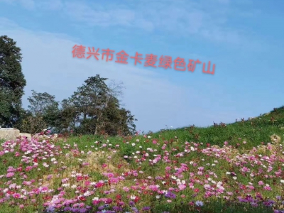 新卡麦矿山